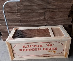 brooder box