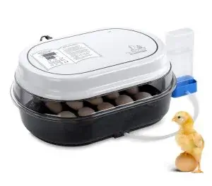 Incubator poultry hatcher